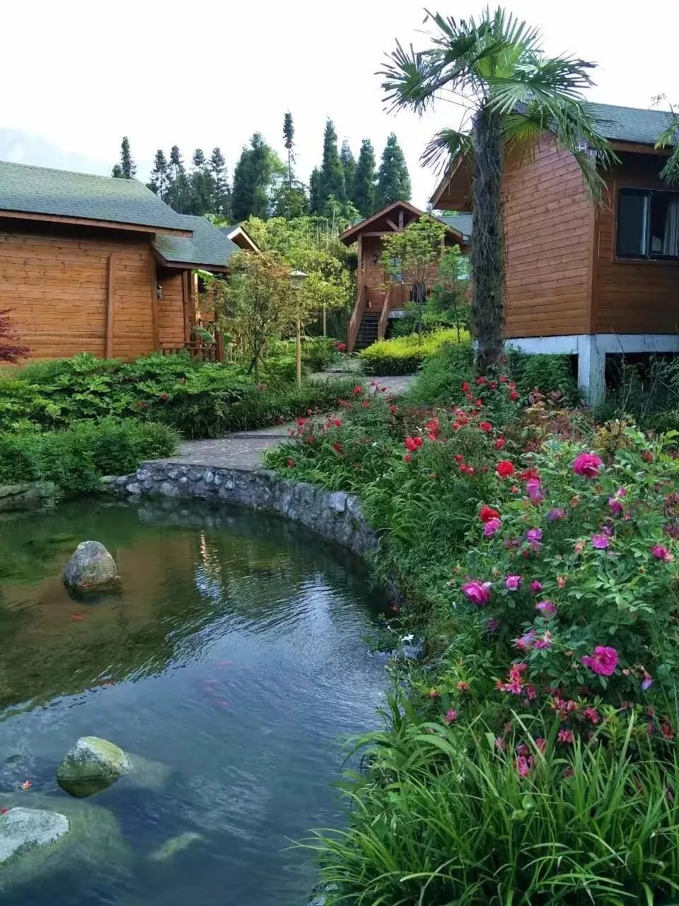 汶川是什么省,汶川大地震