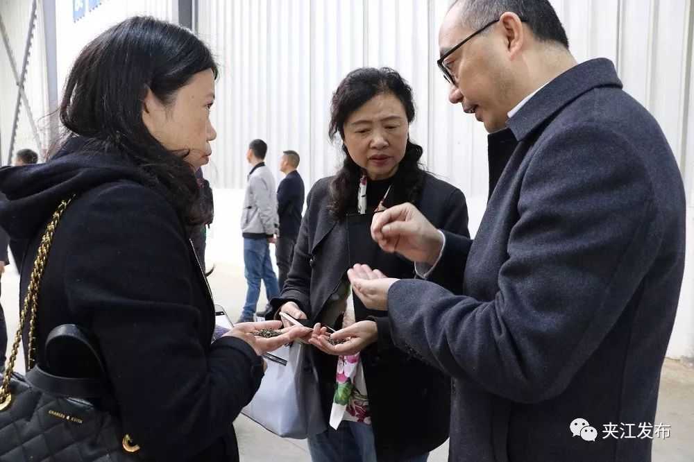“百岳”来了！全国第一条立体布局出口绿茶生产线在夹江投产