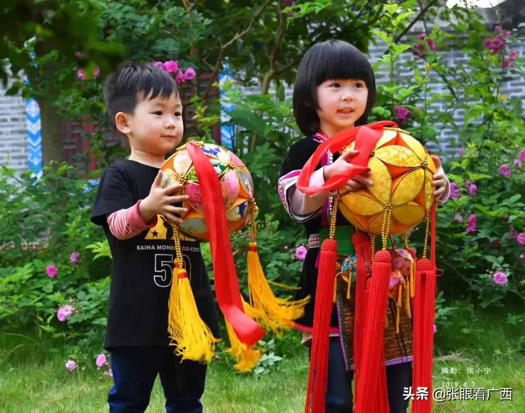 锦绣绣球花,壮乡绣球户外活动