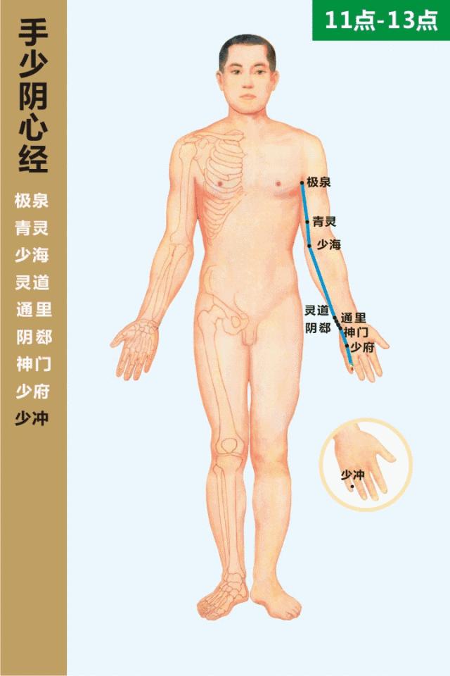 最全经络高清动图所有穴位,最全经络高清动图