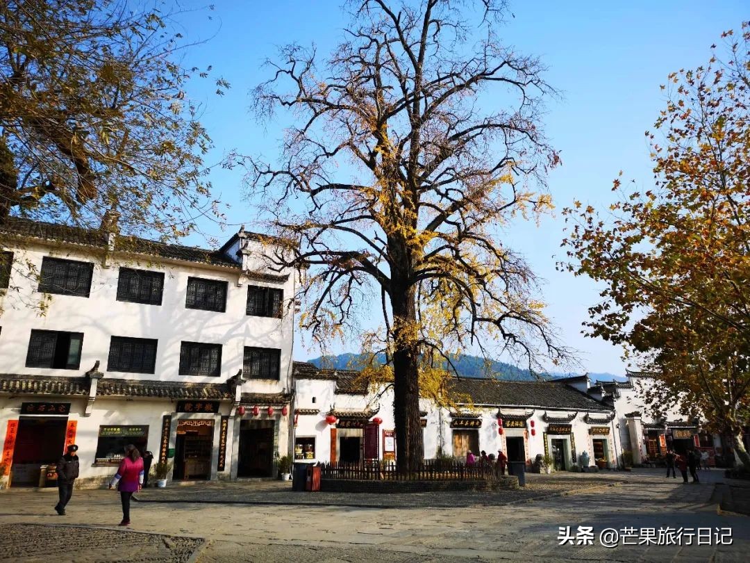 安徽宏村十大特色,安徽黄山宏村印象