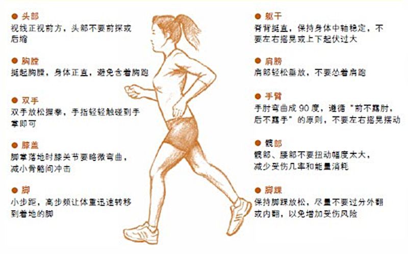 跑步一年小腿变化怎么样,跑步一天后腿变粗的原因