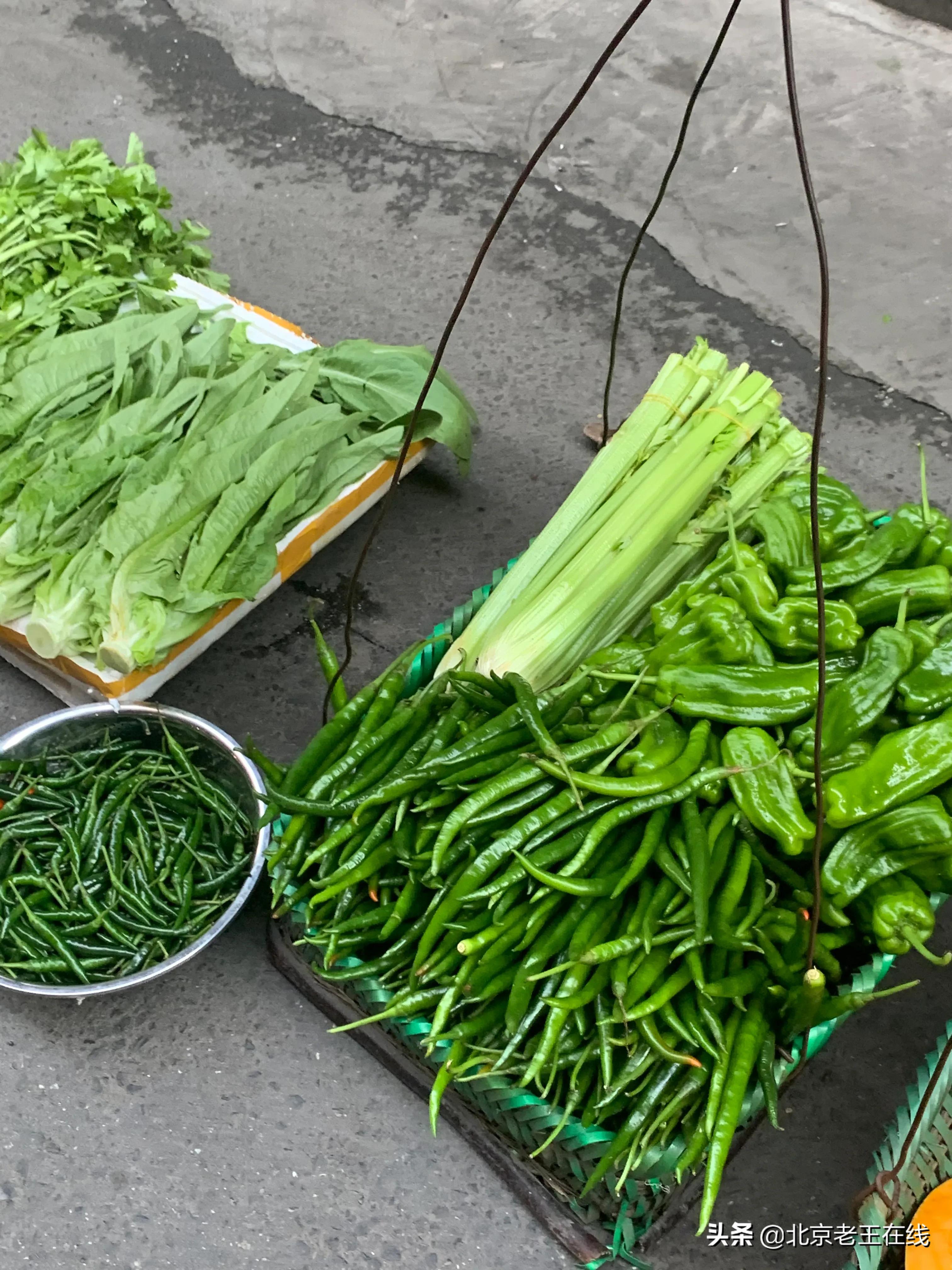 川渝之旅第三站,川渝之行感悟