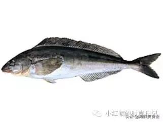 一般超市的鱼有几种,超市常见鱼品种