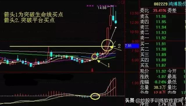 月线选股是股市唯一挣钱指标,月线周线的趋势怎么确定