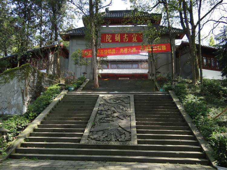 茶园和竹海生在一起会是什么样的美景？重庆永川茶山竹海给你答案