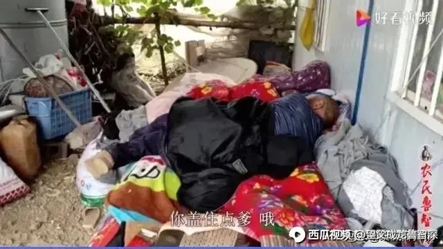 农民鲁智深的评论,农民鲁智深直播