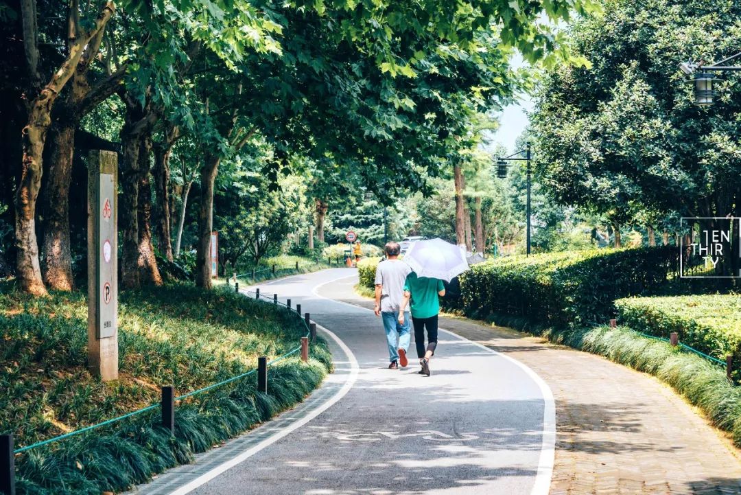 武汉是怎样的一座城,武汉发展汉阳