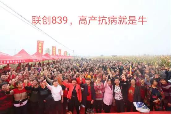 联创种业视频,联创种业小麦品种