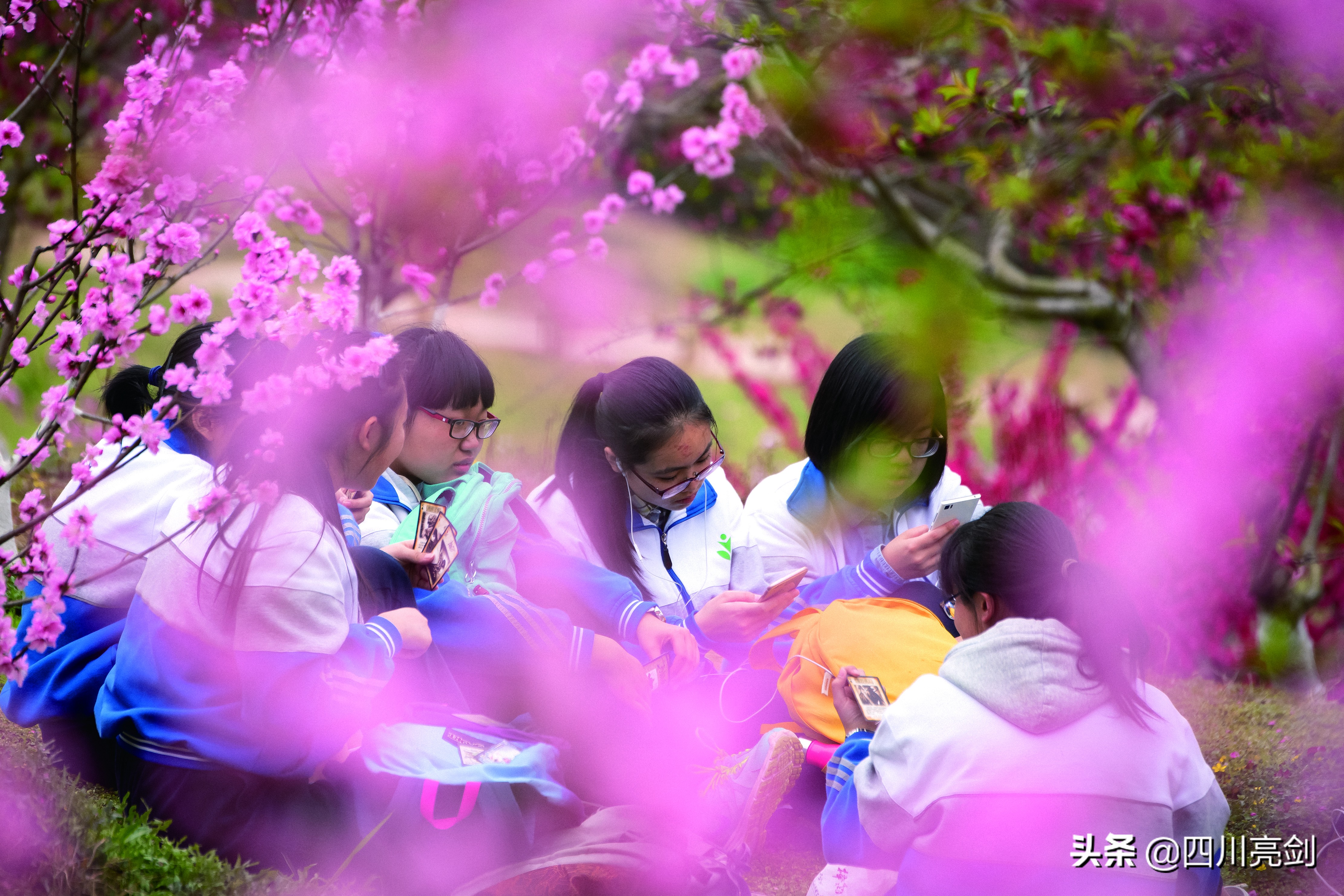 致敬无悔的青春,致敬无悔的青春完整版