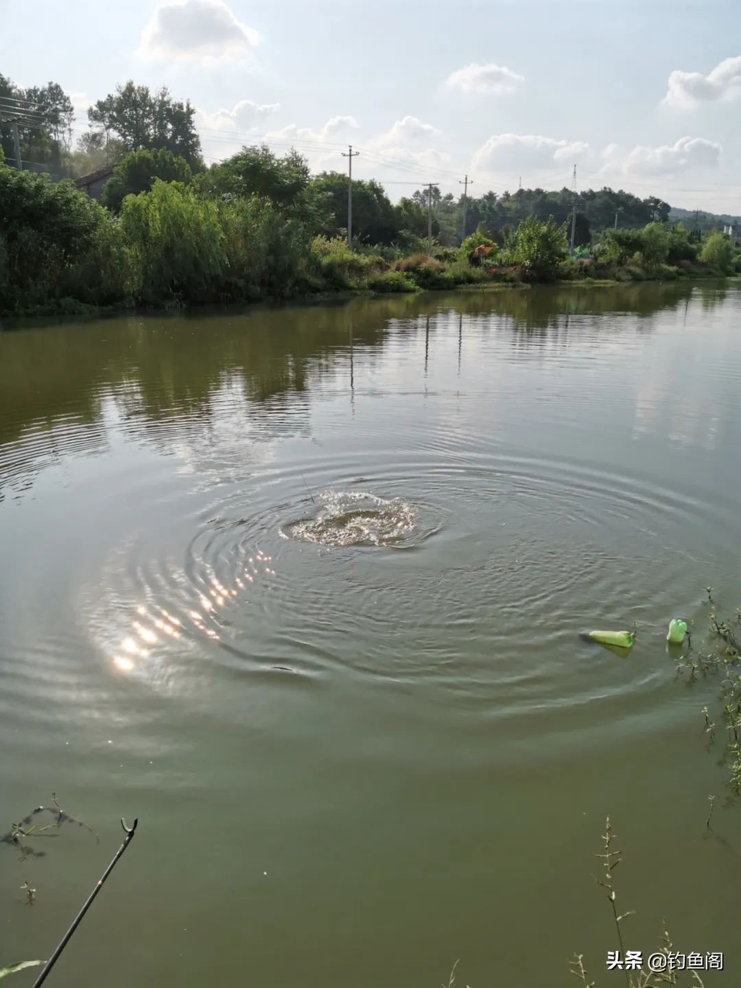 不到2米的水深怎么钓鲤鱼,中间水深但是够不到怎么钓大鱼