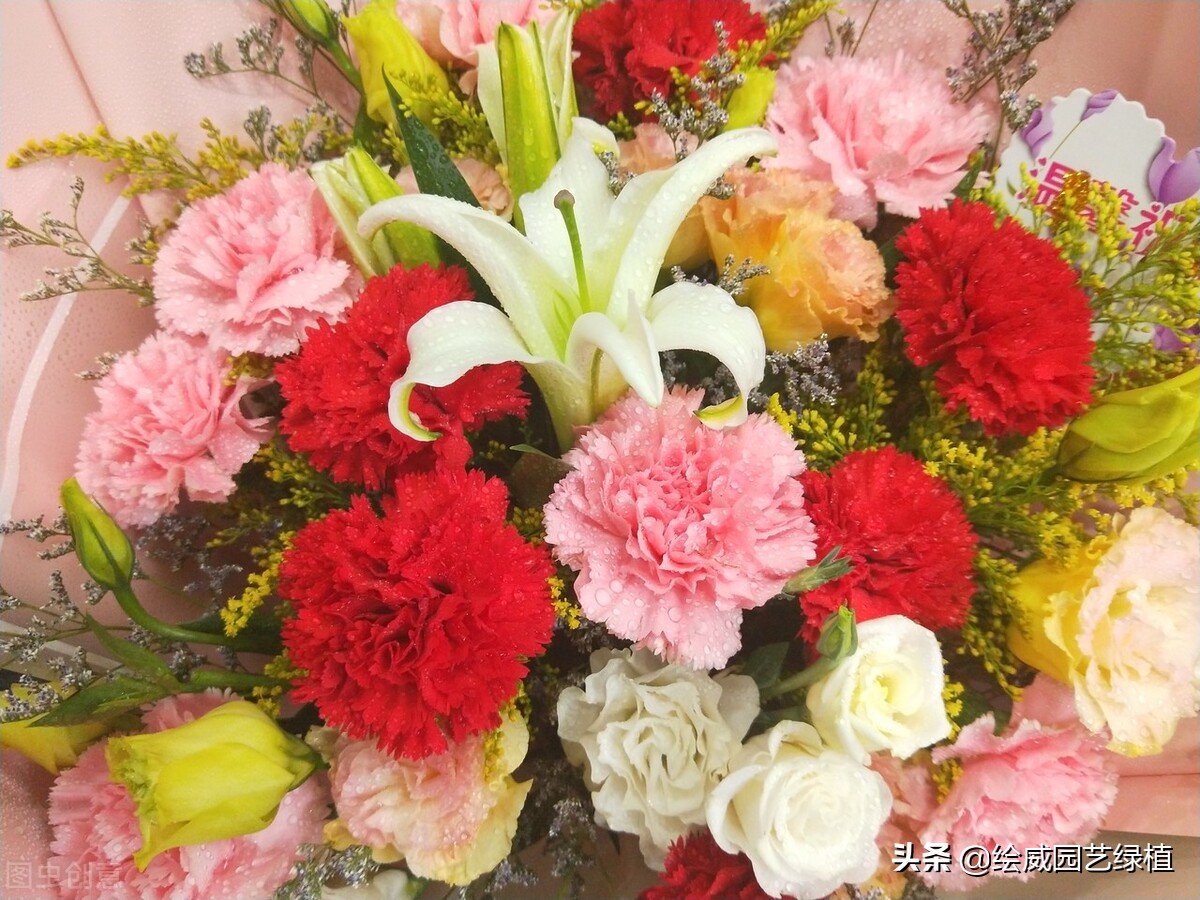 母亲节快到了送个鲜花送给妈妈,母亲节快到了送个东西送给妈妈