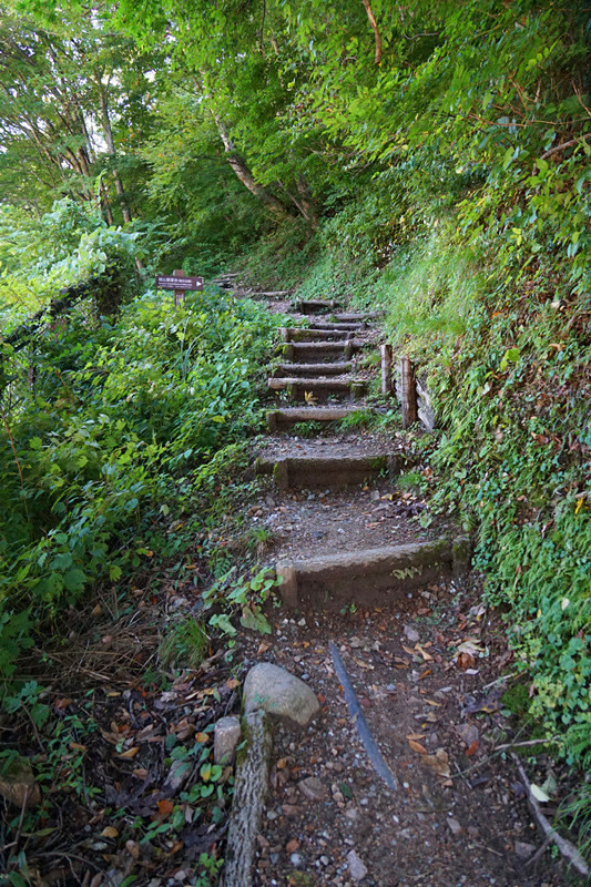 日本五天四夜旅游攻略视频,三天两夜的温泉之旅日本