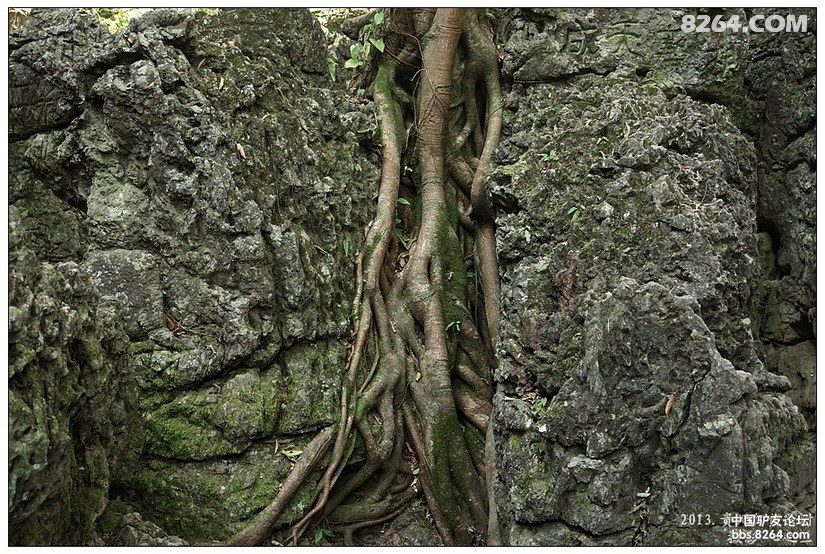 贵州黄果树天星桥游记,贵州黄果树天星桥景区