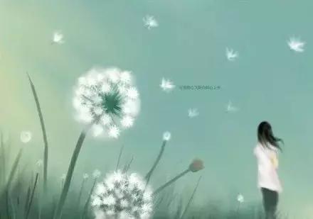 原来很多东西都是失去了才明白,其实有些东西从来就没变过