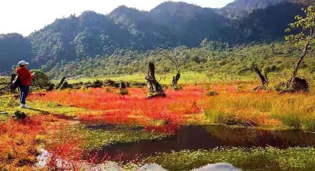 红了！黑竹沟迎颜值巅峰快去穿越五彩童话世界