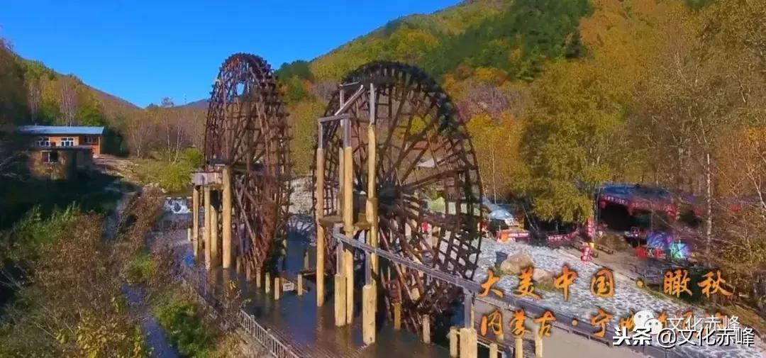 喜大普奔奔小康,喜大普奔可喜可贺