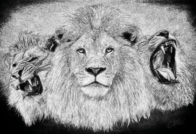 1996-1997赛季贝克汉姆比赛完整视频,贝克汉姆的救赎纪录片