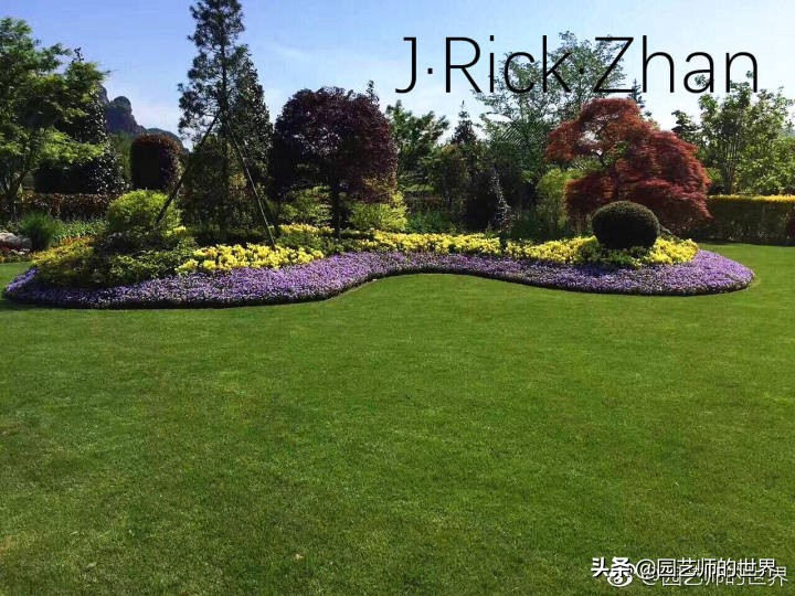 怎么种植草坪不长杂草,如何养好草坪