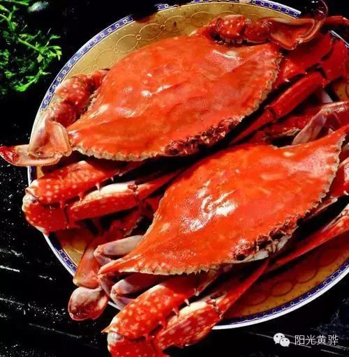 一座美丽的黄骅城市,黄骅的城市