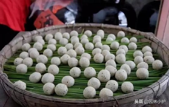 红蓼草做酒曲,没有老酒曲怎样用辣蓼草做酒曲