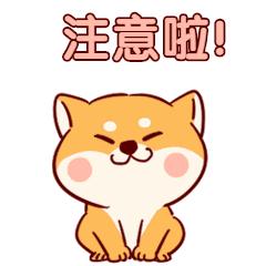 买卖房屋，来说说契税那些事儿