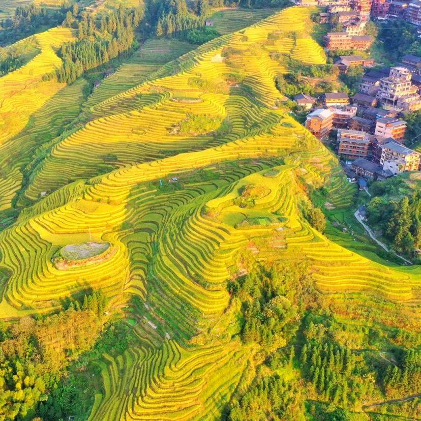 桂林旅游景点免费买票吗,桂林旅游景点属于哪个省