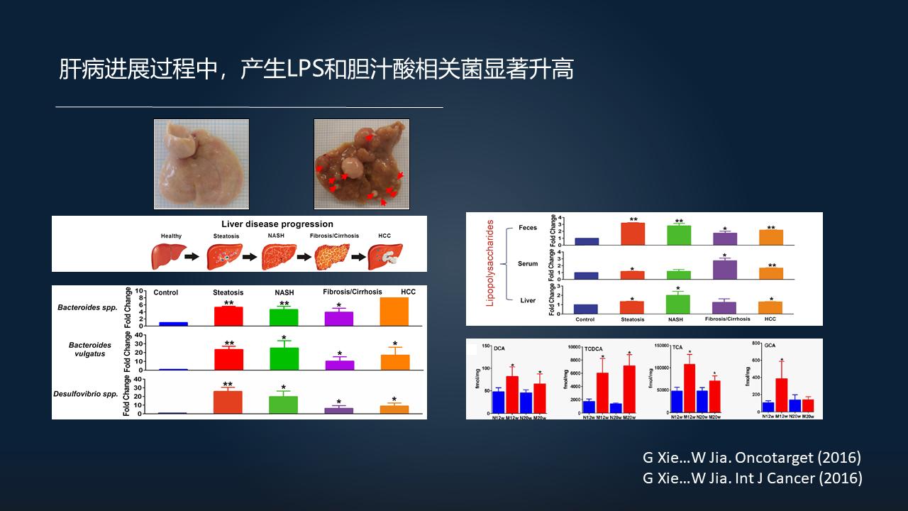 「图文实录」郑晓皎：18分钟详解菌群-胆汁酸与消化系统肿瘤