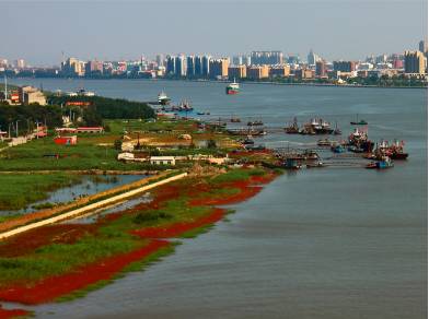 营口网红世外桃源,辽宁哪有世外桃源