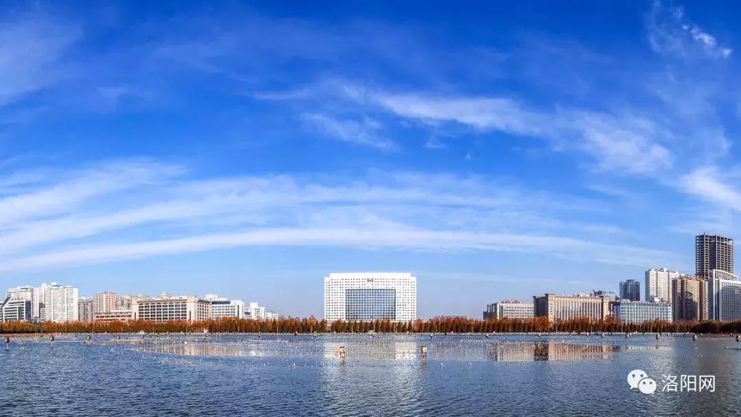 洛阳牡丹花会邀请,洛阳邀请全世界人民看牡丹