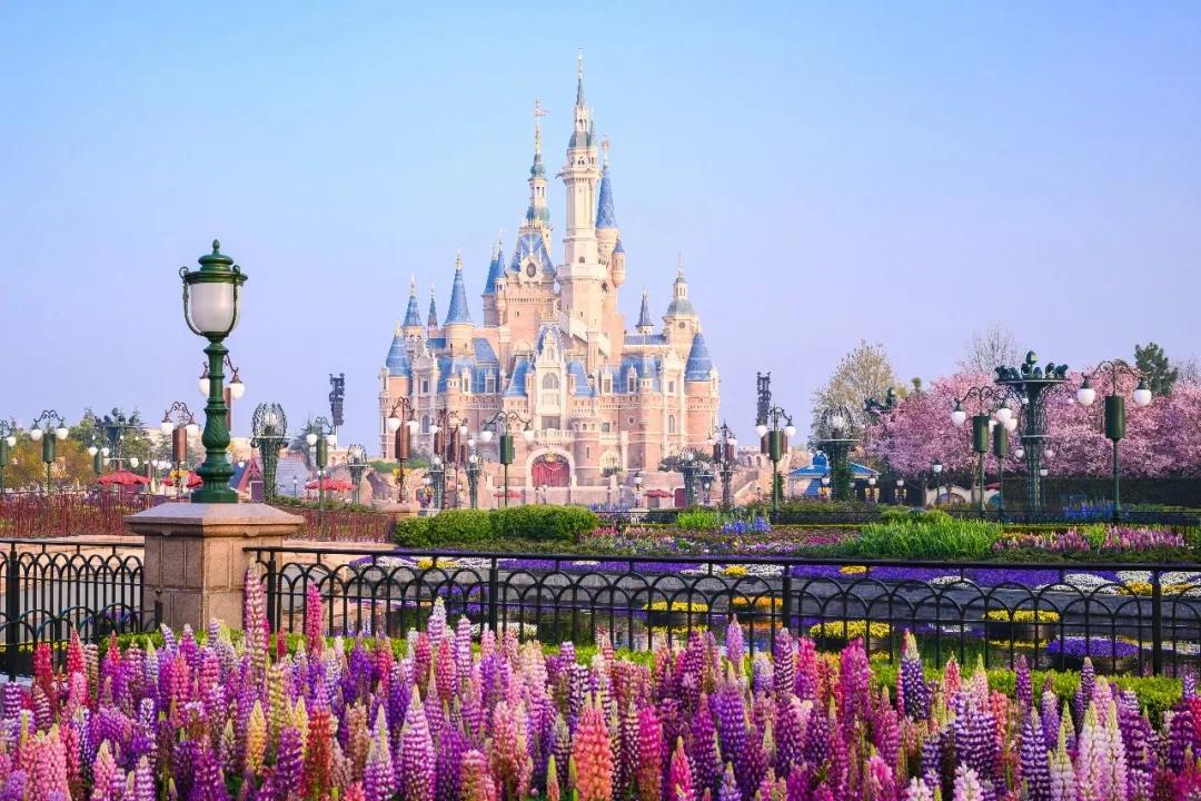 上海迪士尼度假区工作岗位,上海迪士尼乐园招聘最新招聘信息