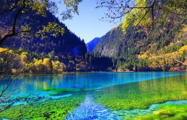 三年级扩写写作训练,小学三年级写作仿写训练