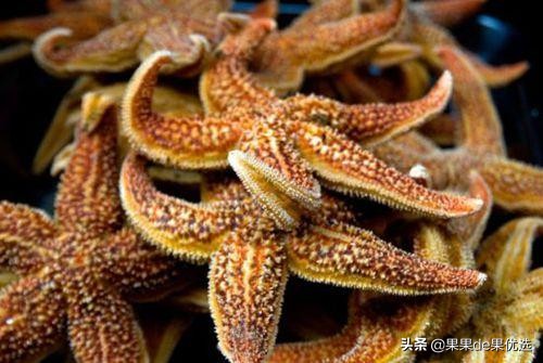 吃派大星的方法,派大星都吃过哪些奇怪的东西