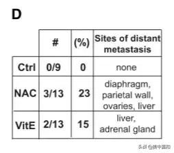 维生素e导致肿瘤,维生素e会影响乳腺增生吗