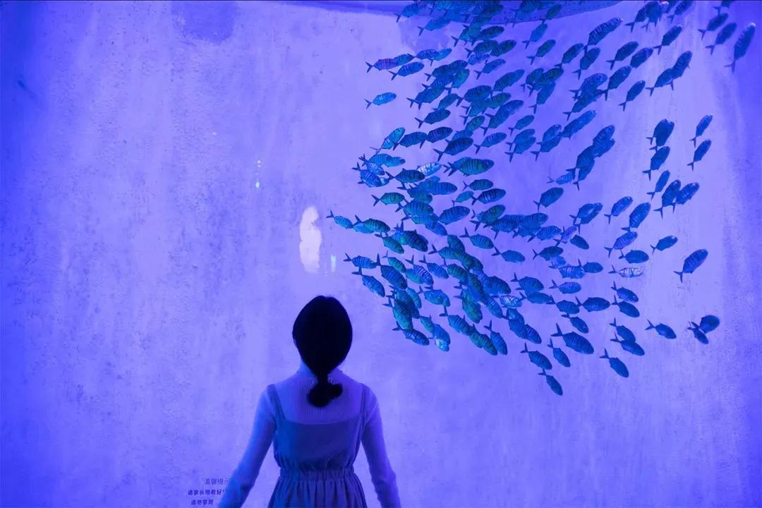 4号线值得逛的地方,9号线有什么地方可以玩