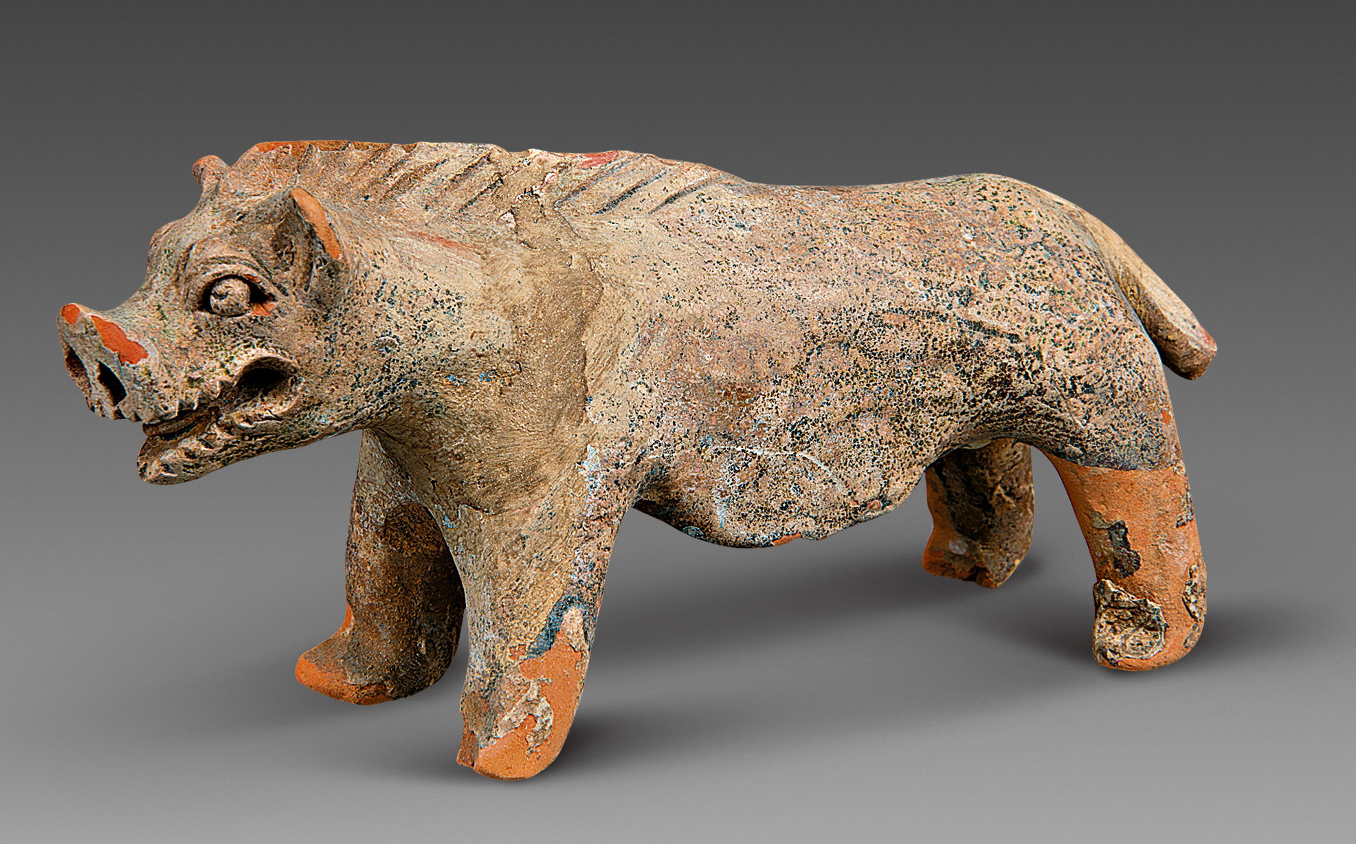 生肖猪的风俗及寓意,生肖猪的民俗与科学文化艺术