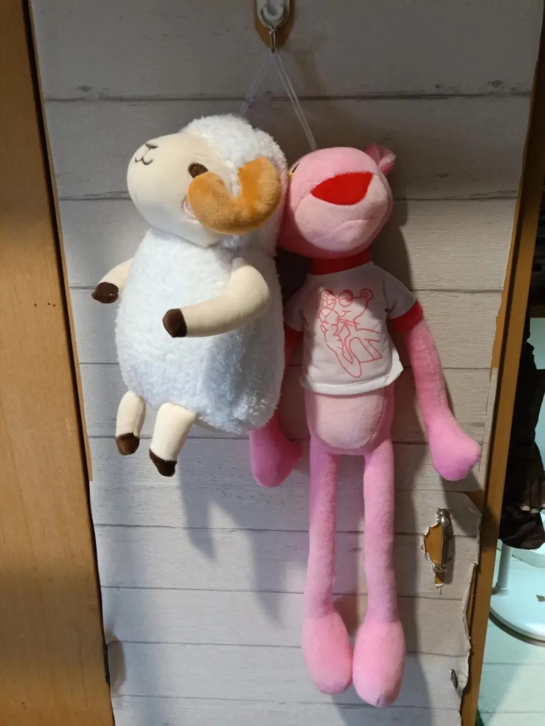 宿舍社交攻略,社交关系怎么做好