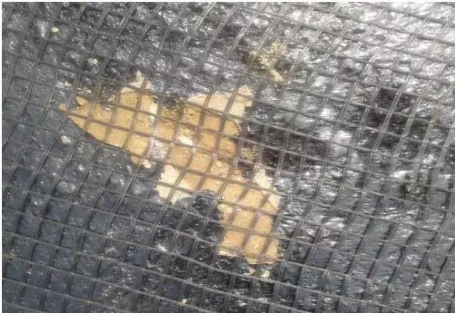 公路工程常见质量通病防治手册,市政公路质量通病手册