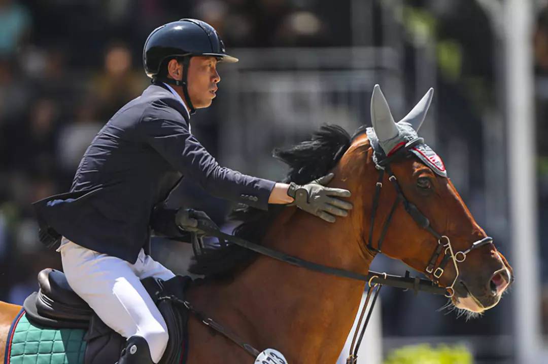 精彩马术英姿飒爽,盘点马术比赛中的精彩瞬间