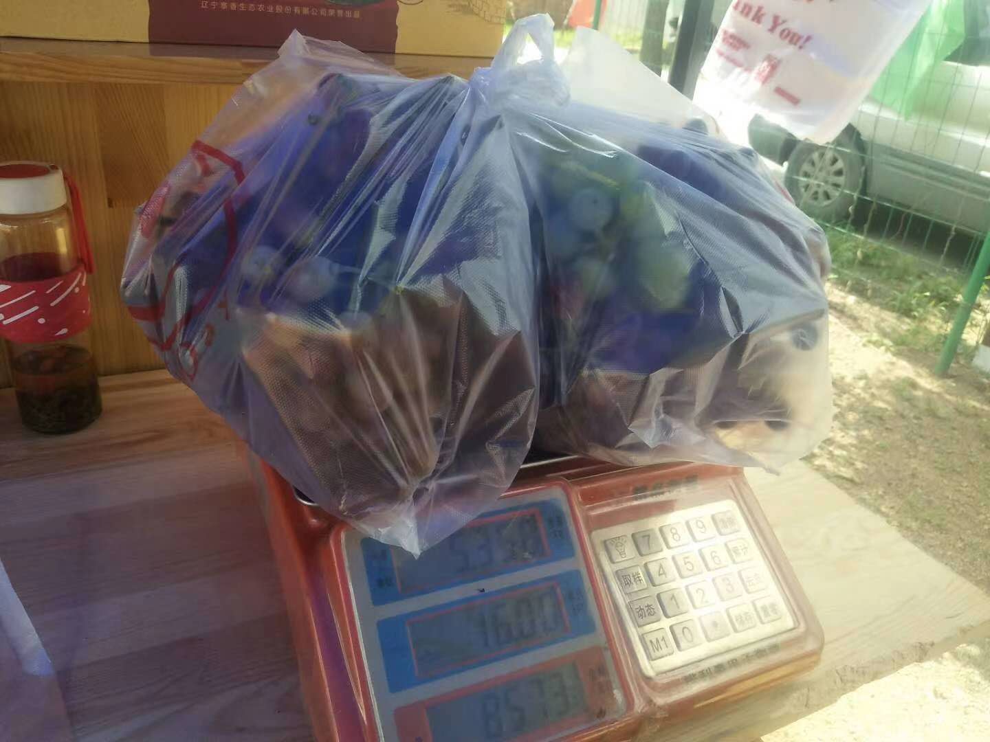 沈阳休闲野钓好地方,沈阳最新野钓鱼地方推荐9月