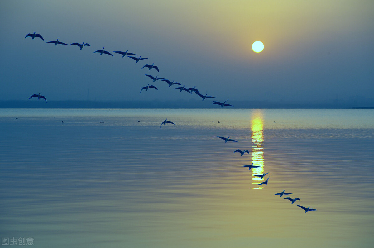 韩满林诗词选4首：思乡情雷电诗月夜相思曲多情谁似南山月