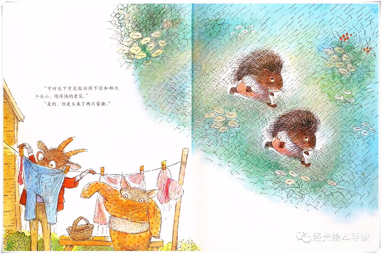 一组数字的游戏——《一个下雨天》导读