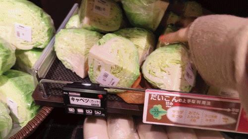 ins上有名的韩国独居博主,38岁独居全职博主