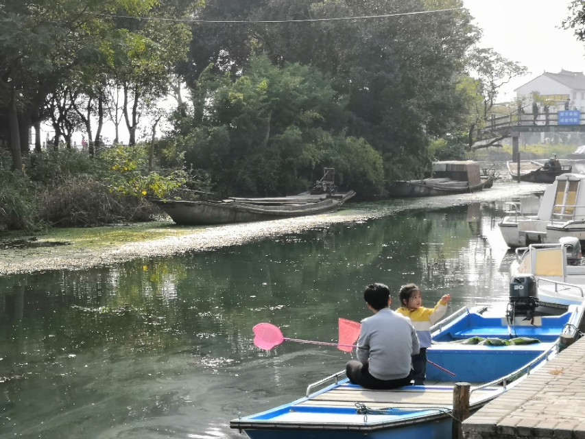 莲花岛一日游的心情感悟,阳澄湖莲花岛邂逅小院