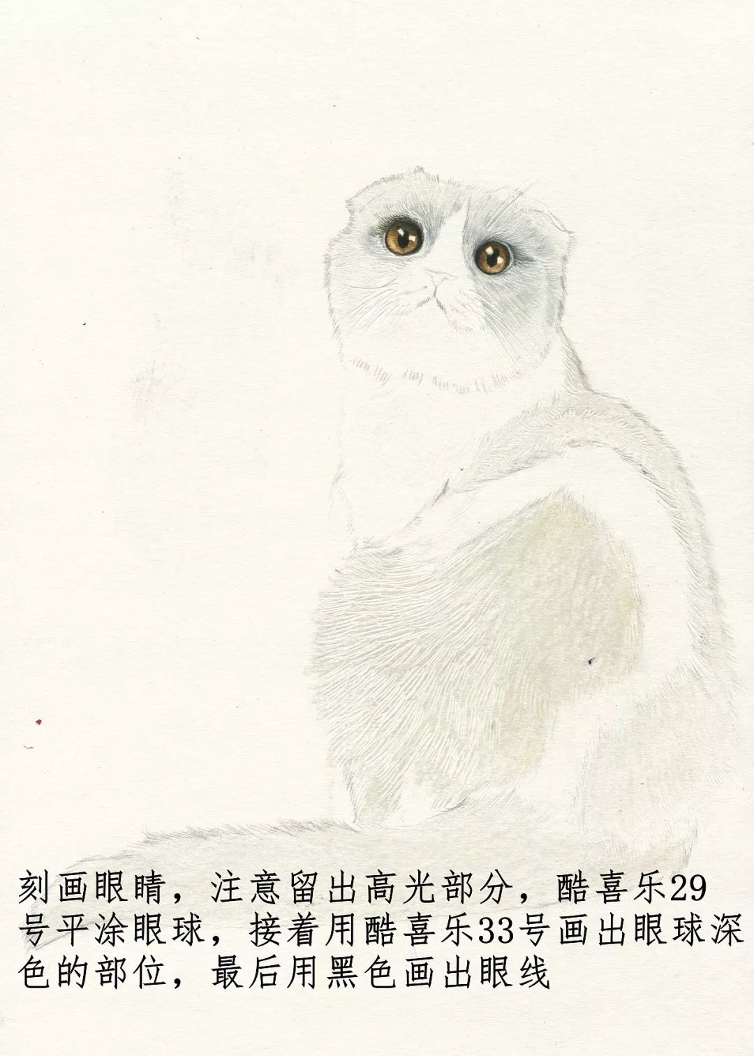 素描动物入门知识,素描动物简单入门教程狗