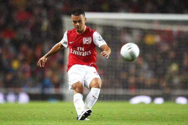 入籍第一悍将，郑智未来接班人。