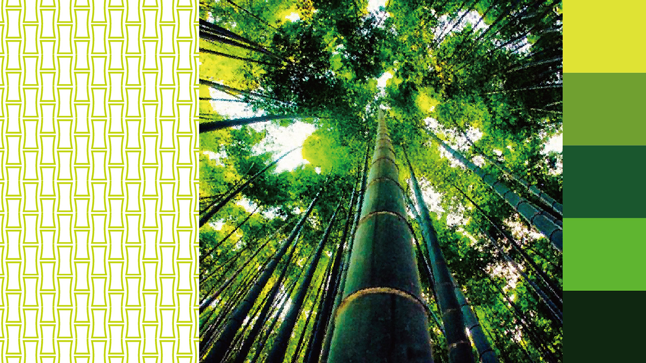 竹天下文化旅游产业园,竹天下宣传片