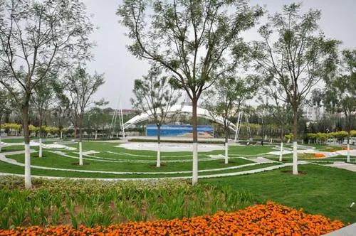 天津春暖花开西沽公园,天津开放的湿地生态公园