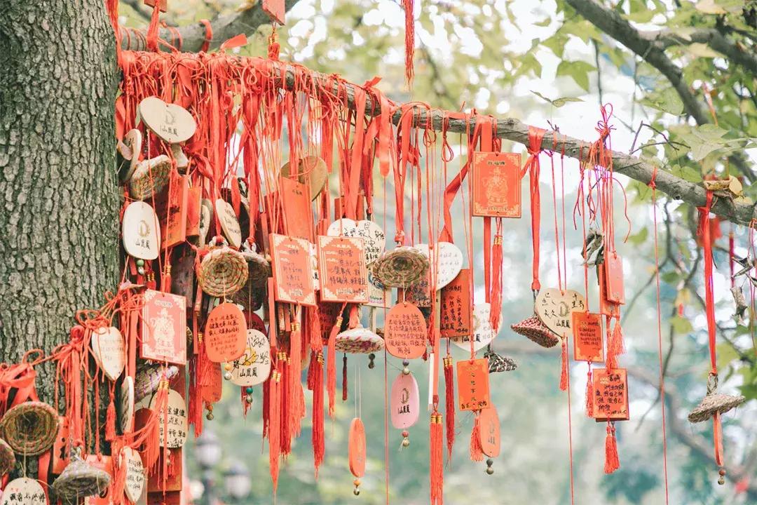 深圳这座城市很美,深圳这座城市风景太美了