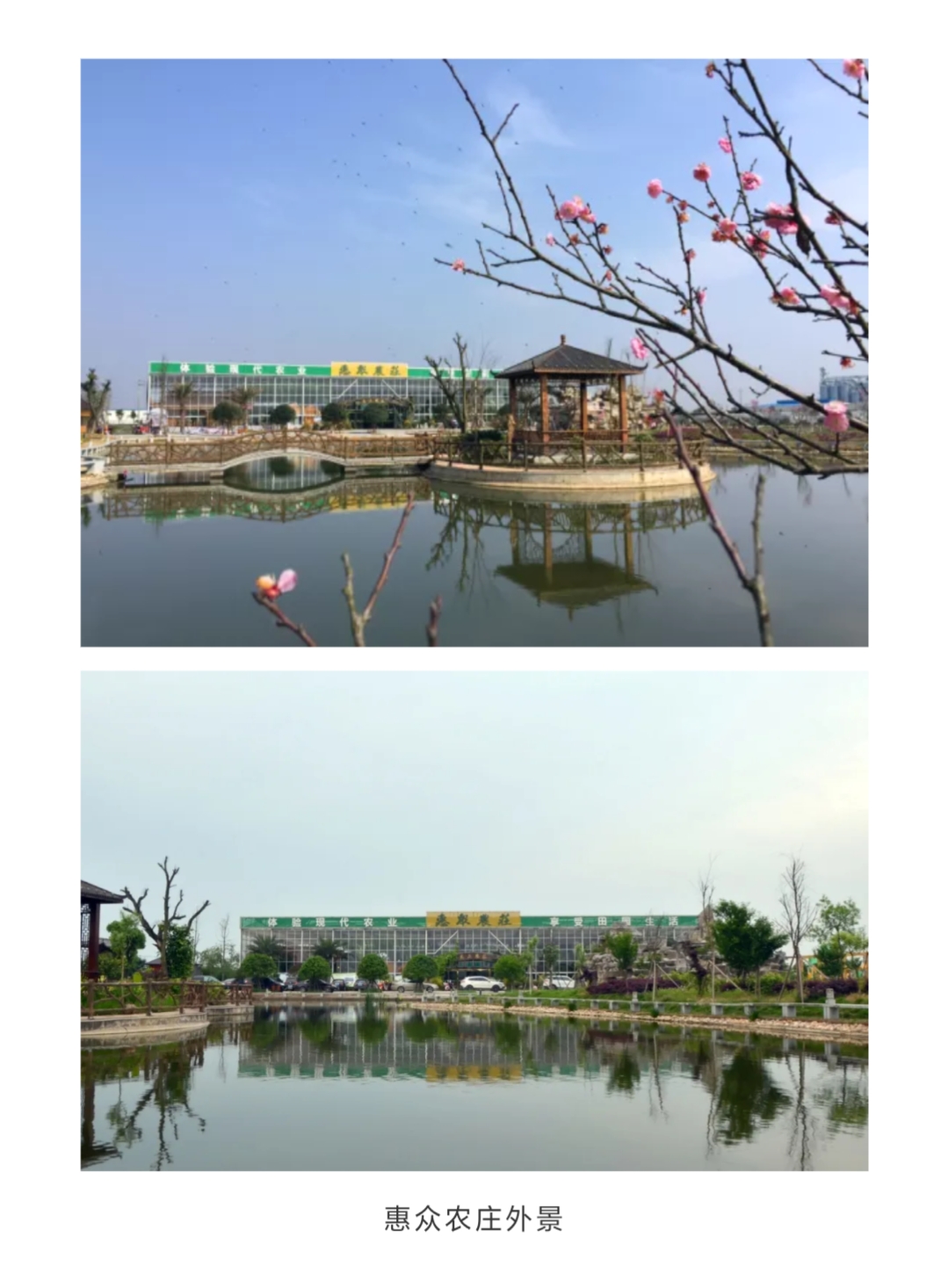 岳阳惠众农庄菜单,岳阳惠众农业研学基地